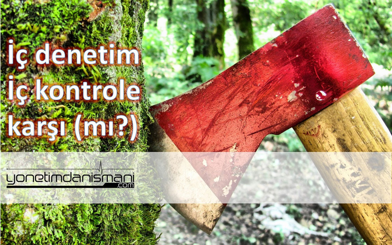 Yönetim Danışmanı |  / İç denetim iç kontrole karşı mı?