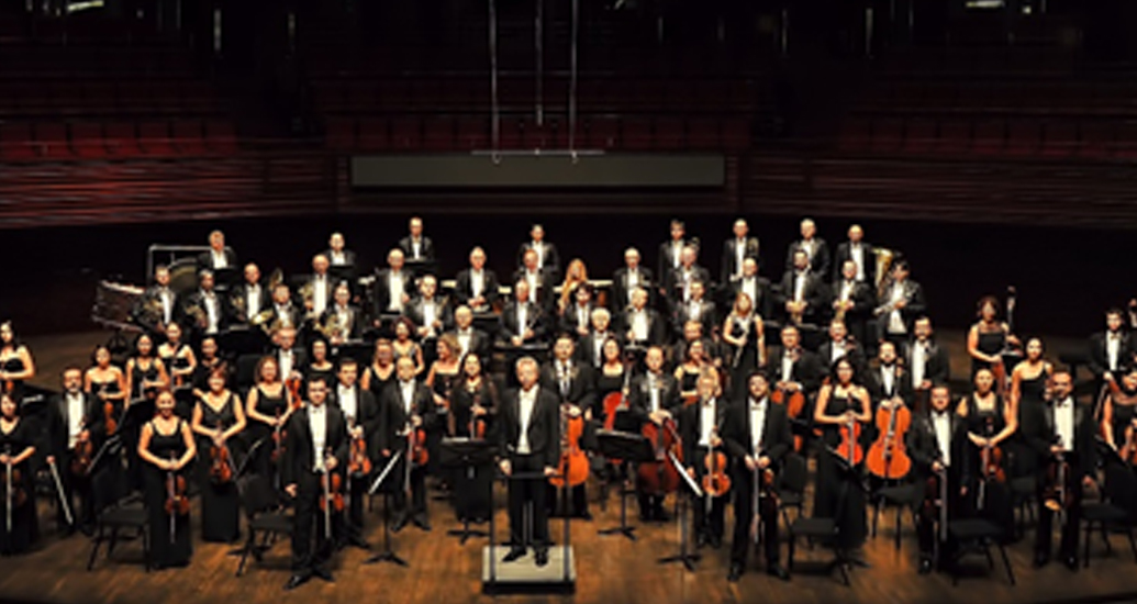 Yönetim Danışmanı |  / Orkestra